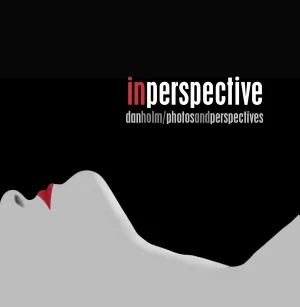 Cover of In Perspective