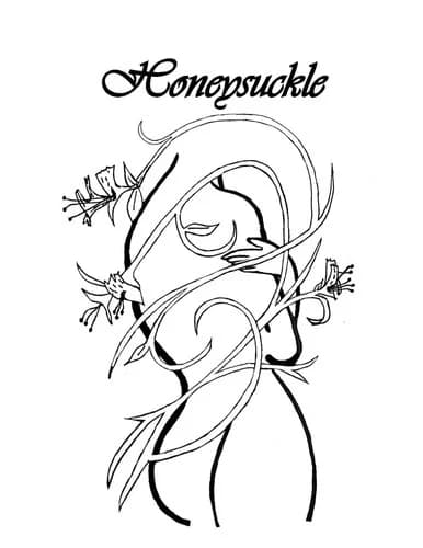 Cover of Honeysuckle
