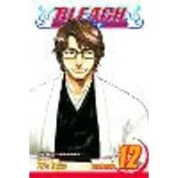 Cover of Bleach, Vol. 12 Volume 12