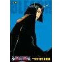 Cover of Bleach (3-in-1 Edition), Vol. 13 Volume 13