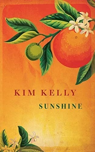 Cover of Sunshine