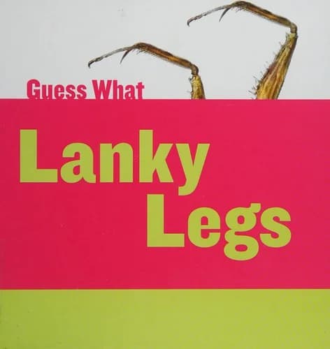 Cover of Lanky Legs