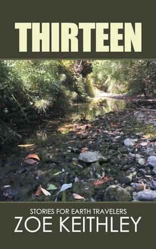 Cover of Thirteen
