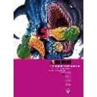 Cover of Judge Dredd: The Complete Case Files 45 Volume 45