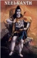 Cover of Neelkanth