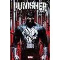 Cover of Punisher Vol. 1
