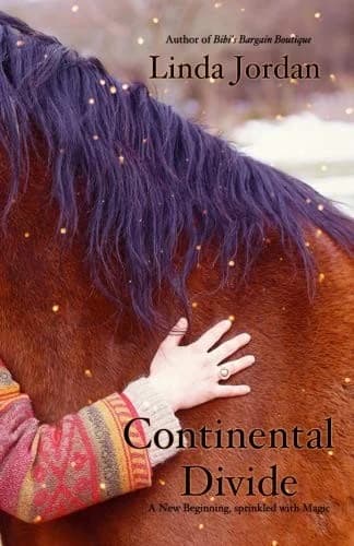 Cover of Continental Divide